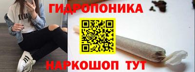 крисы Надым