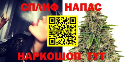 МДПВ Моздок